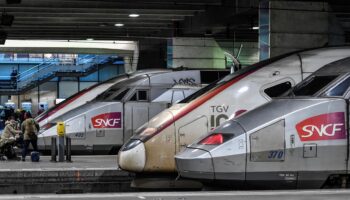 Des centaines de voyageurs SNCF bloqués dans des TGV après un « accident de personne » le soir du réveillon