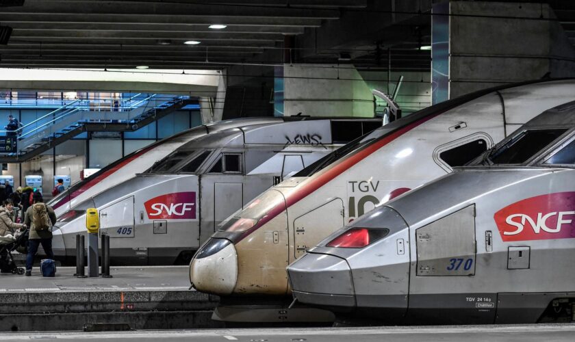 Des centaines de voyageurs SNCF bloqués dans des TGV après un « accident de personne » le soir du réveillon