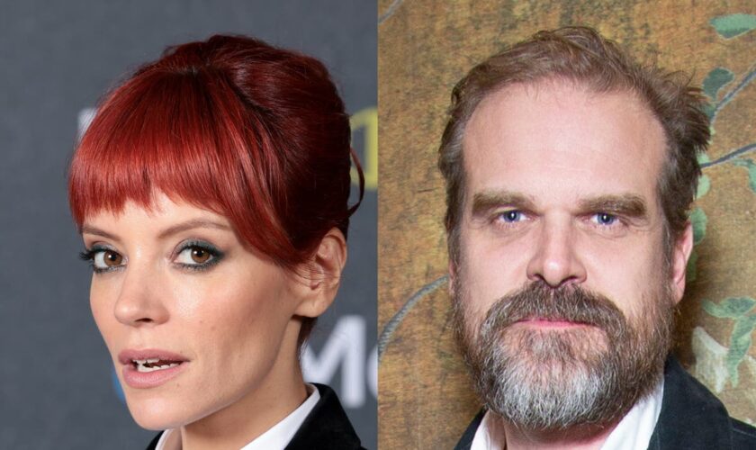 Lily Allen addresses spending Christmas ‘alone’ amid David Harbour split rumours