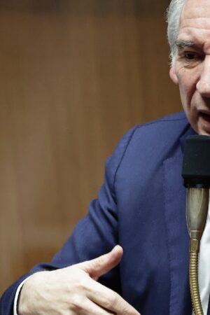 François Bayrou à l'Assemblée nationale, le 17 décembre 2024, à Paris