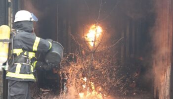 In einer Görlitzer Wohnung hat ein Weihnachtsbaum Feuer gefangen. (Symbolbild) Foto: Marcus Brandt/dpa