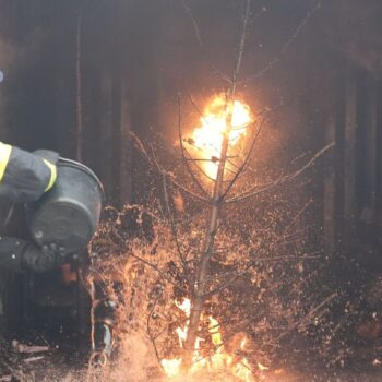 Brände: Weihnachtsbaum fängt Feuer – Frau wird verletzt