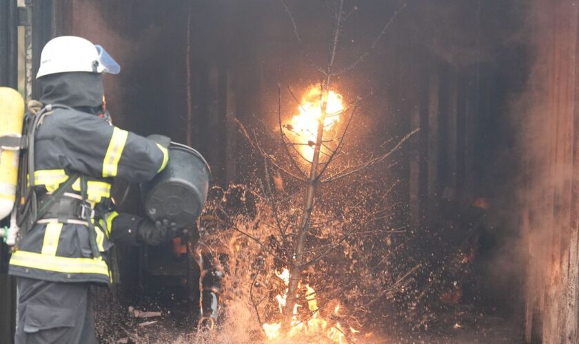 In einer Görlitzer Wohnung hat ein Weihnachtsbaum Feuer gefangen. (Symbolbild) Foto: Marcus Brandt/dpa