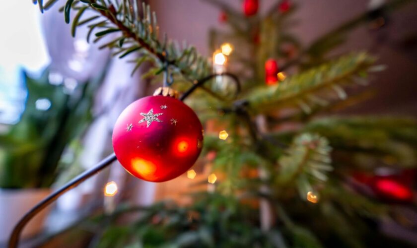 Knifflige Rechenaufgabe: Weihnachtliches Rätsel: Können Sie diesen Festtags-Dreisatz lösen?