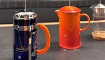 French-Press-Modelle im Test: Bodum, Ikea und Grønenberg