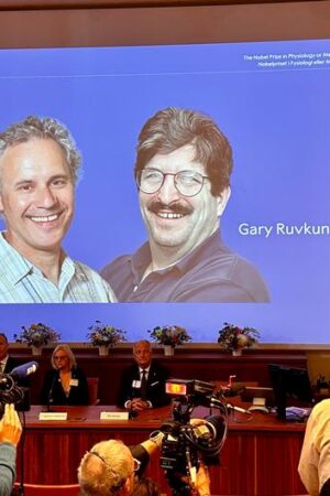 Nobel Prize in medicine awarded to Victor Ambros, Gary Ruvkun for discovery of microRNA