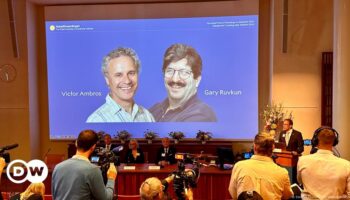 Nobel Prize in medicine awarded to Victor Ambros, Gary Ruvkun for discovery of microRNA