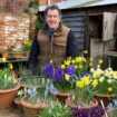 Monty Don's Boxing Day ritual all gardeners need to follow - or regret it