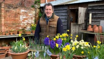 Monty Don's Boxing Day ritual all gardeners need to follow - or regret it