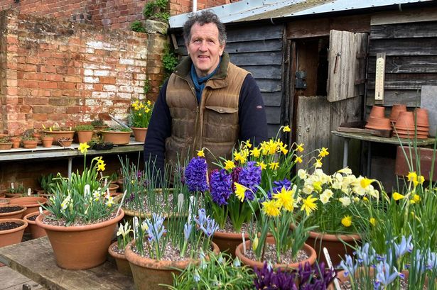 Monty Don's Boxing Day ritual all gardeners need to follow - or regret it