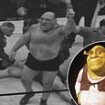 The 'real' Shrek: How the 'world's ugliest man' became a wrestling legend after turning rare condition to his advantage - and is believed to have inspired our favourite screen ogre