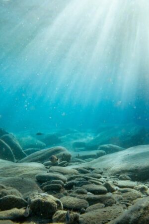 Une terre de l'âge de pierre engloutie sous la mer du Nord révèle les secrets d'une civilisation disparue