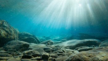 Une terre de l'âge de pierre engloutie sous la mer du Nord révèle les secrets d'une civilisation disparue