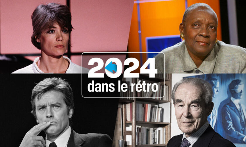 Maryse Condé, Françoise Hardy, Alain Delon... Les personnalités qui nous ont quittés en 2024