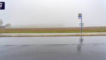 Verkehrswende: Die neuen Busse, auf die niemand gewartet hat