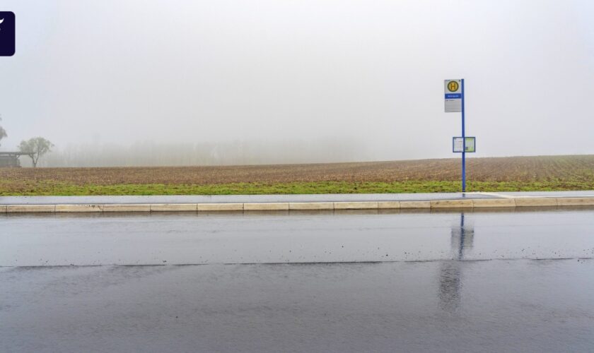 Verkehrswende: Die neuen Busse, auf die niemand gewartet hat