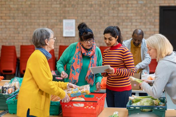 Homeless shelters and food banks to get better access to leftover food on farms