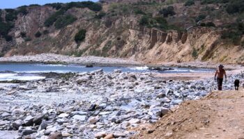 Los Angeles-area authorities investigating human legs found on shoreline