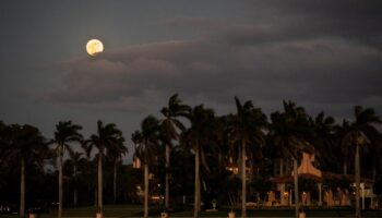 Comment Palm Beach, fief de Donald Trump en Floride, s’est mué en centre de l’univers