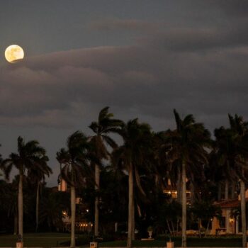 Comment Palm Beach, fief de Donald Trump en Floride, s’est mué en centre de l’univers