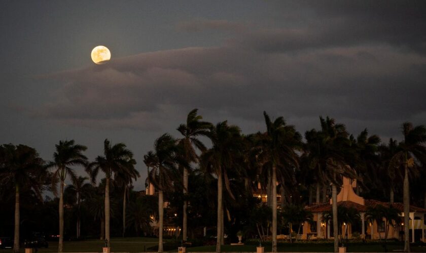 Comment Palm Beach, fief de Donald Trump en Floride, s’est mué en centre de l’univers