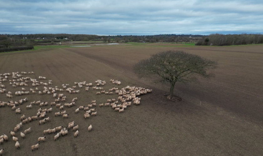 In a time of change Sky News spent a critical year on a farm – find out what we learnt