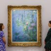 Possible sale of Monet’s Water Lilies on Chinese social media causes disbelief