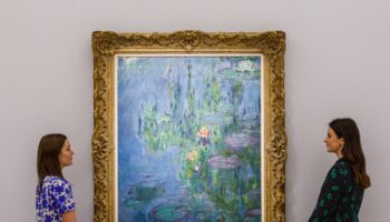 Possible sale of Monet’s Water Lilies on Chinese social media causes disbelief