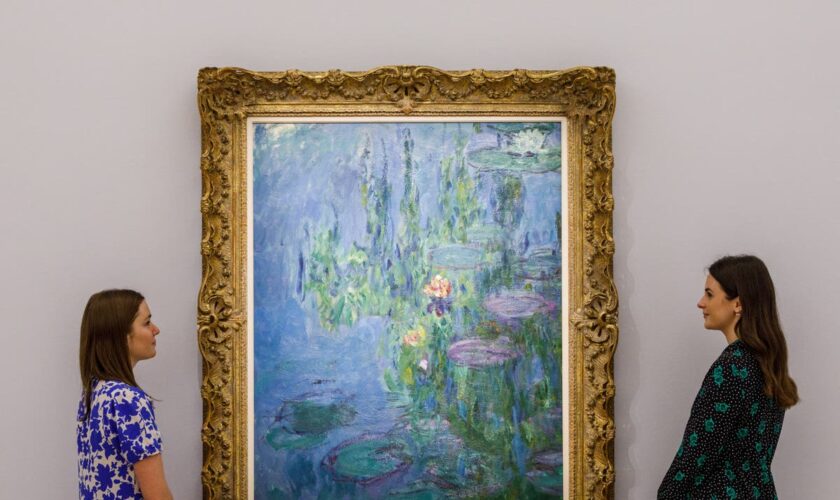 Possible sale of Monet’s Water Lilies on Chinese social media causes disbelief