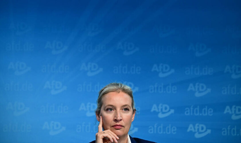 Les enquêtes de «Frontal» qui ont marqué 2024 : en mai, le RN rompt avec l’AfD après les révélations de «Libé»