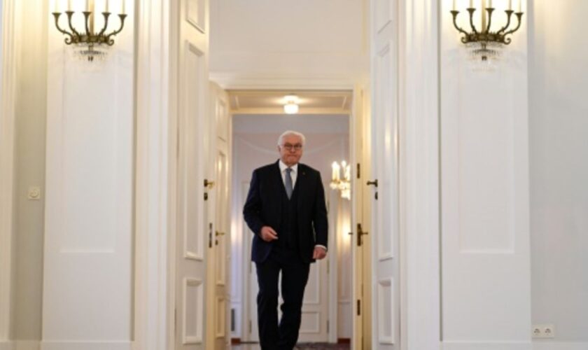 Steinmeier am Freitag in Schloss Bellevue