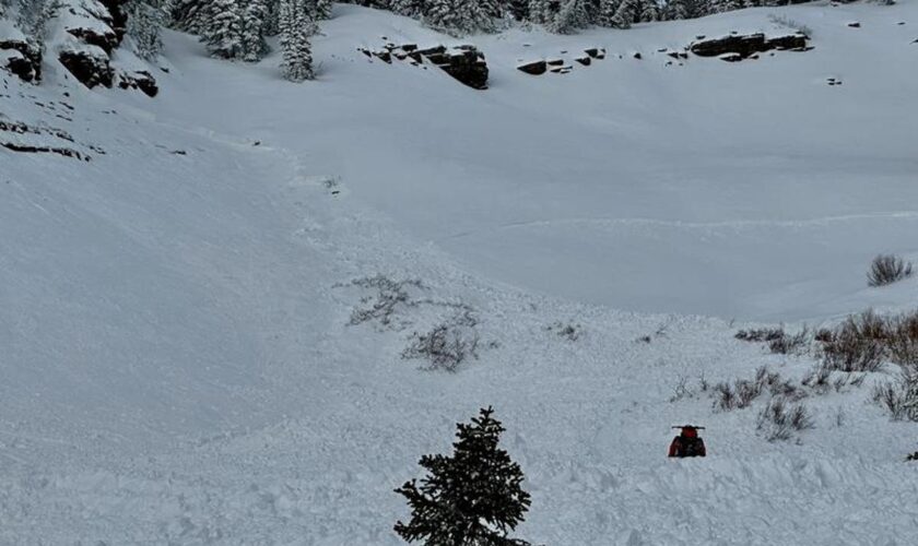 Utah brother who triggered backcountry avalanche saves sibling buried under the snow