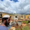 A Mayotte, l’agriculture est dévastée par le cyclone Chido : « On voit des cadavres de poules partout, des vaches divaguer parmi les tôles »