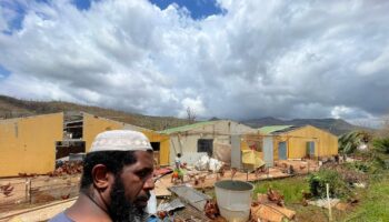 A Mayotte, l’agriculture est dévastée par le cyclone Chido : « On voit des cadavres de poules partout, des vaches divaguer parmi les tôles »