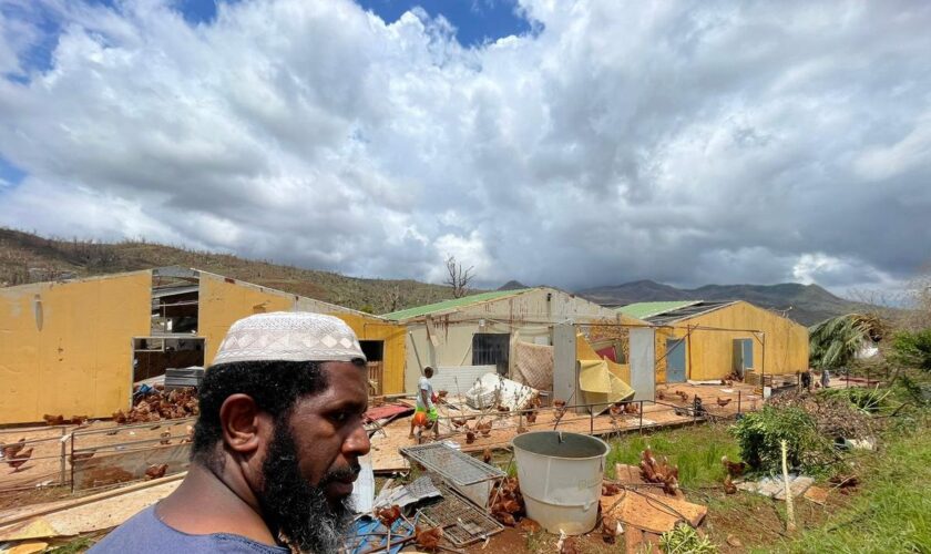 A Mayotte, l’agriculture est dévastée par le cyclone Chido : « On voit des cadavres de poules partout, des vaches divaguer parmi les tôles »