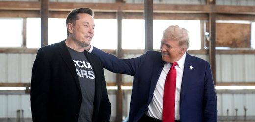 Donald Trump veröffentlicht offenbar aus Versehen private Nachricht an Elon Musk