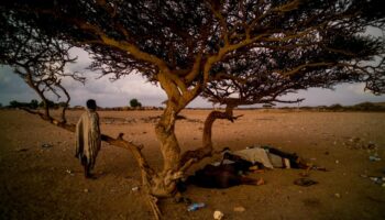 La fille de la passeuse et autres contes du golfe d’Aden