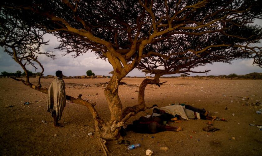 La fille de la passeuse et autres contes du golfe d’Aden