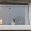 Photos show home's window riddled with bullet holes after 'gunman on bike' opens fire