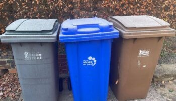 Every home in England may be given choice of four different bins in 2025