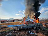 South Korea plane crash horror: 29 dead after aircraft carrying 175 passengers and six crew crashes off runway and erupts into ball of flames - as haunting footage shows lead-up to smash