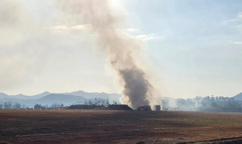 At least 28 people killed as plane veers off runway and catches fire at South Korean airport