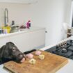 'I refuse to eat anything cooked in a kitchen with a dog - it's disgusting'