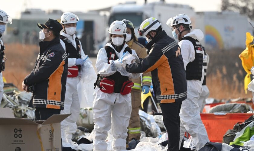 Des secouristes près du site du crash d'un avion de la compagnie Jeju Air survenu le 28 décembre 2024 à Muan en Corée du Sud