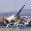 Crash d'avion en Corée du Sud : des oiseaux en cause ? La terrible vidéo du drame