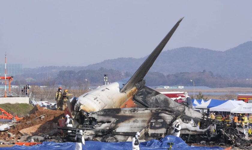 Crash d’avion en Corée du Sud : des oiseaux en cause ? La terrible vidéo du drame