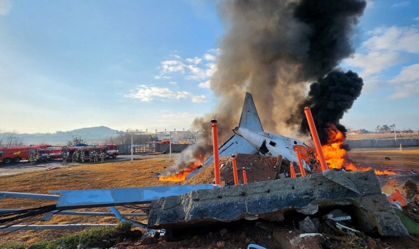 Eyewitnesses to South Korea plane crash recount sparks in engine, bird strike before collision