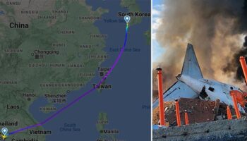 Flight map shows doomed Jeju Air plane's journey before crashing and bursting into flames