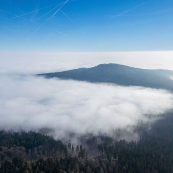 Wetter: Neblig-trübes Jahresende in Hessen