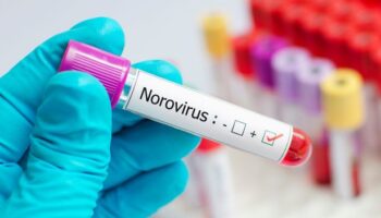 Norovirus symptoms to watch out for as families issued urgent 'stay indoors' warning